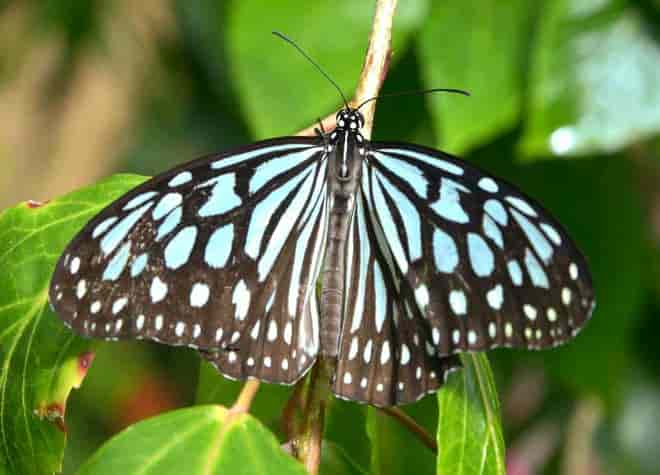 �����E�L���E�A�T�M�}�_��